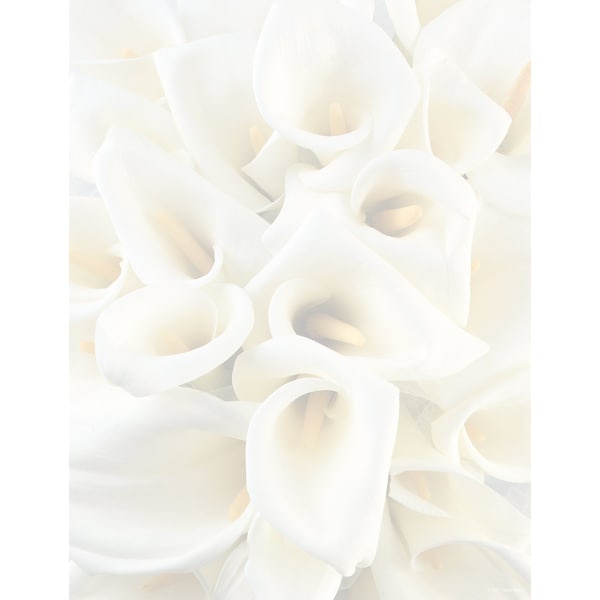 Great Papers Stationery Letterhead, White Calla, PK80 2014286 - main