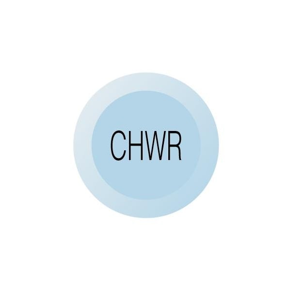 Chicago Faucet Button 216-678CHWRJKNF - main