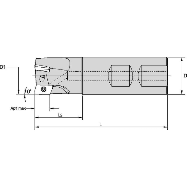 Widia Indexable Profiling End Mill, VSM17 Series, High Speed Steel, 0.6380 in Depth of Cut VSM17D150Z04W150XD17 - main