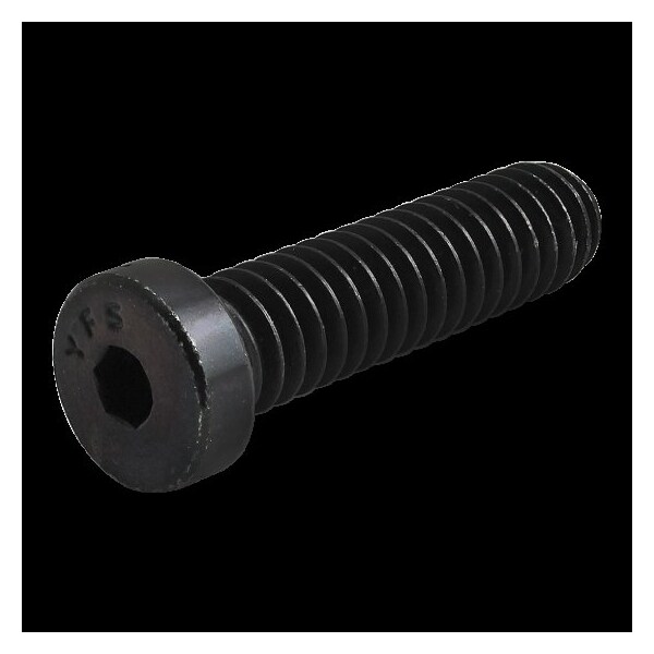 80/20 1/4"-20 Socket Head Cap Screw, Zinc Plated Steel, 1 in Length 3017 - main