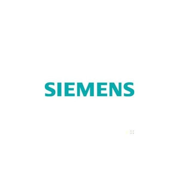 Siemens Imm Well Repair Kit, PT 1K Ohm 544-577-RK - main