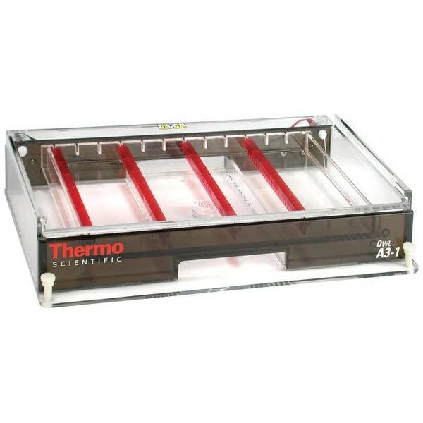 Thermo Fisher Scientific Asheville Owl Horizontal Electrophoresis
