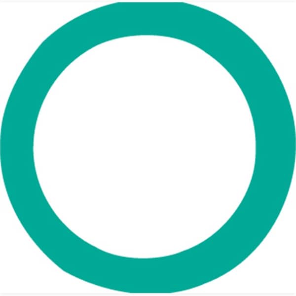 Fjc Replacement ORing, for R134a Hoses 4008 Zoro