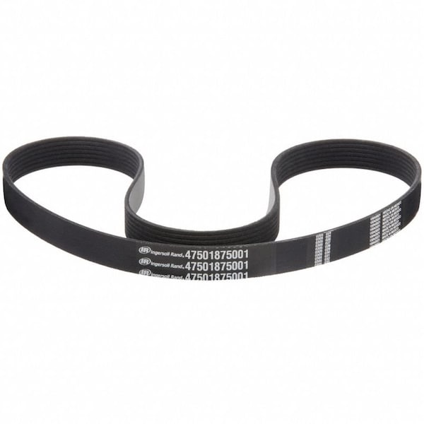 Ingersoll-Rand 47501875001 Banded V-Belt, 49-7/32" Outside Length, 24 33/64 mm Top Width, 4 3/16 mm Thickness 47501875001 - main