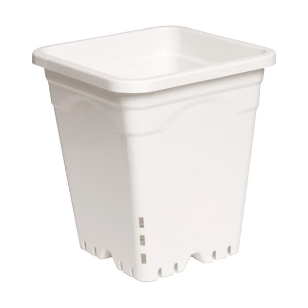 Active Aqua Square White P, 9" x 9", PK24 HG9X9SW - main