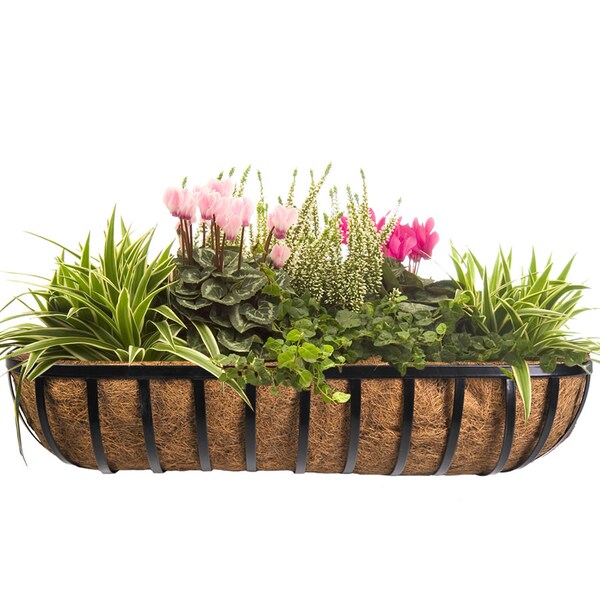 Cobraco Horse Trough Planter, Black, 36 in W HTR36-B - main