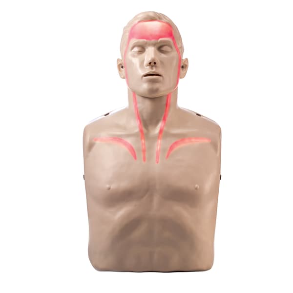 Brayden Pro CPR Manikin W/ Bluetooth Technology IM16R Zoro