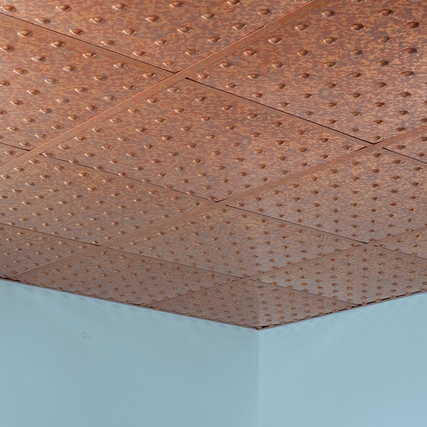 Fasade Dome 2Ftx2Ft Lay In Ceiling Tile Cr, PK 5, 5 PK PL6319 - main