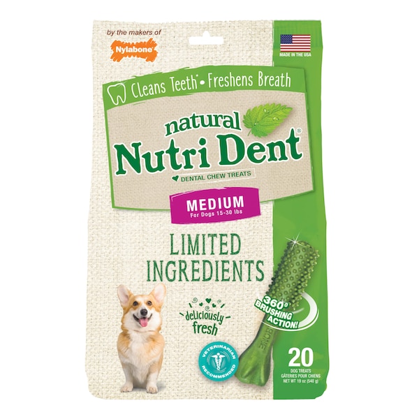 Nylabone Nutri Dent Dental Chews Fresh Breath Med NTD442M20P - main