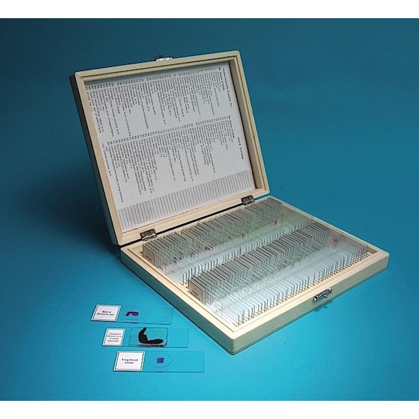 United Scientific Prepared Slide Set, 100 Slides SLD100-N - main