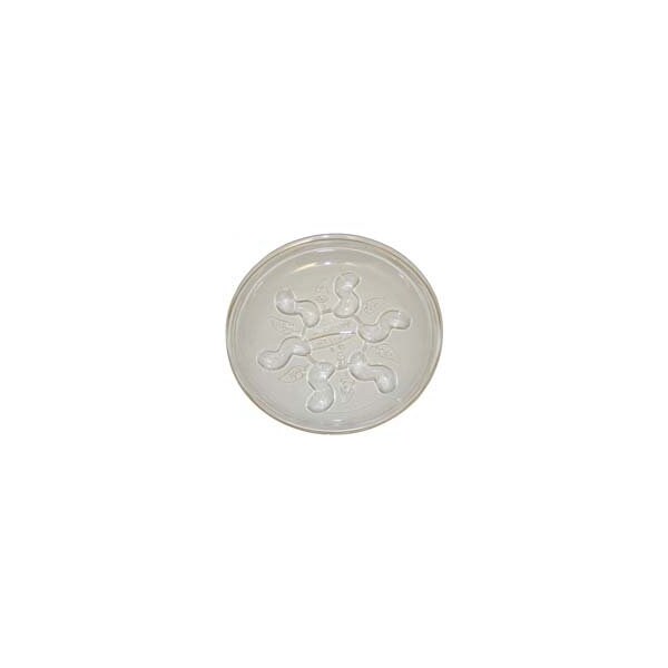 Gardener'S Blue Ribbon Saucer Plus, 12" SP12VUS