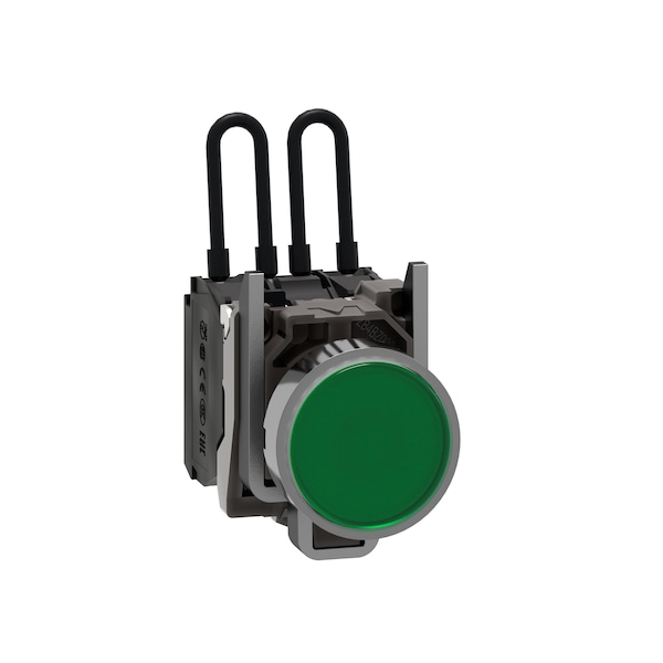 Schneider Electric Push-to-test pilot light, Harmony XB4, metal, green, universal LED, screw clamp terminals, 110.120V XB4BW23G5 - main