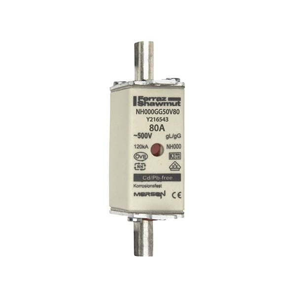 Mersen Fuse Link, Y21 Series, 80A, Time-Delay, 500V AC, Square Y216543 - main
