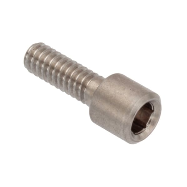 Ampg #2-56 Socket Head Cap Screw, Plain 18-8 Stainless Steel, 1/4 in Length ZSE60102C04 - main