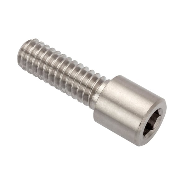 Ampg 1/4"-20 Socket Head Cap Screw, Plain 18-8 Stainless Steel, 3/4 in Length ZSE60114C12 - main
