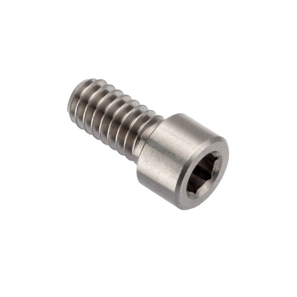 Ampg 1/4"-20 Socket Head Cap Screw, Plain Stainless Steel, 1/2 in Length ZSH61614C08 - main