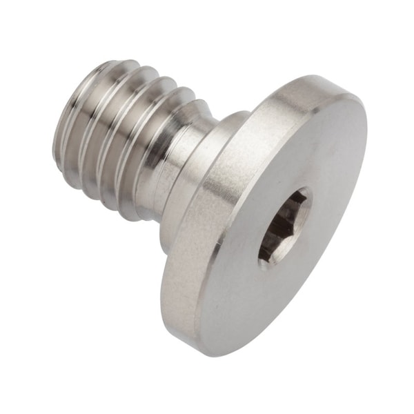 Ampg 1/2"-13 Socket Head Cap Screw, Plain Stainless Steel, 1/2 in Length ZUL60212C08 - main
