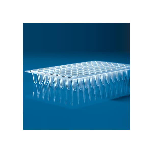 Brandtech Well, Pcr Plate, Low Profile, 0.15, PK50 781364 - main