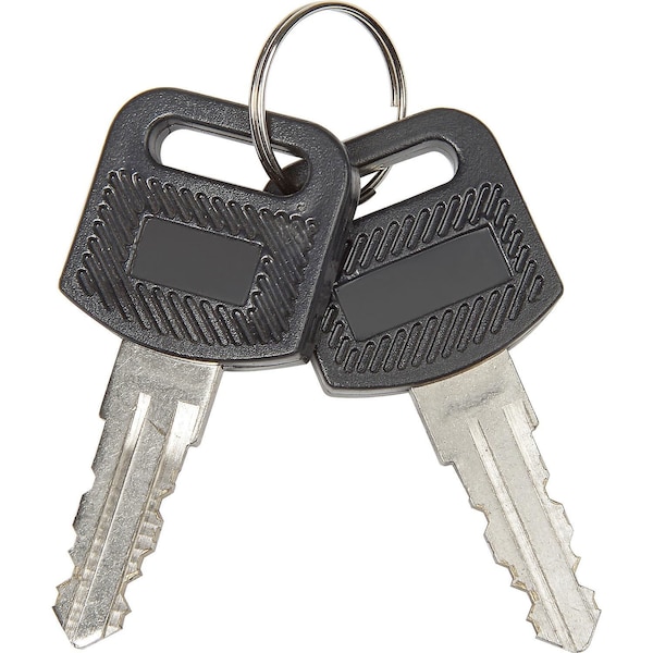 Global Industrial Replacement Keys for Charging Carts 985748, 251761 ...