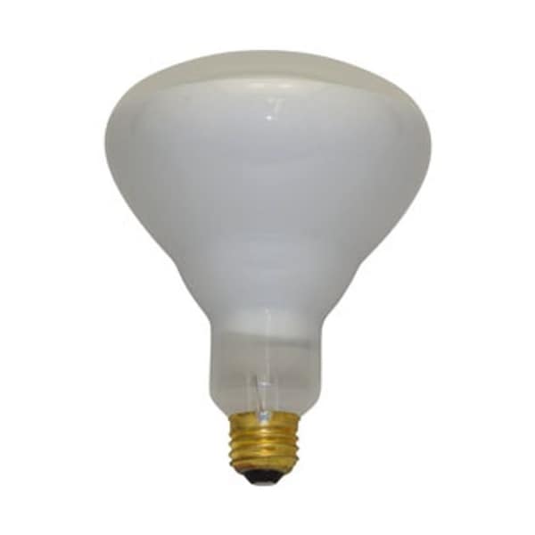 Ilc Light Bulb