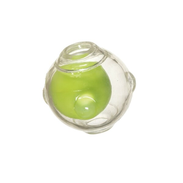 chase n chomp squeaker ball