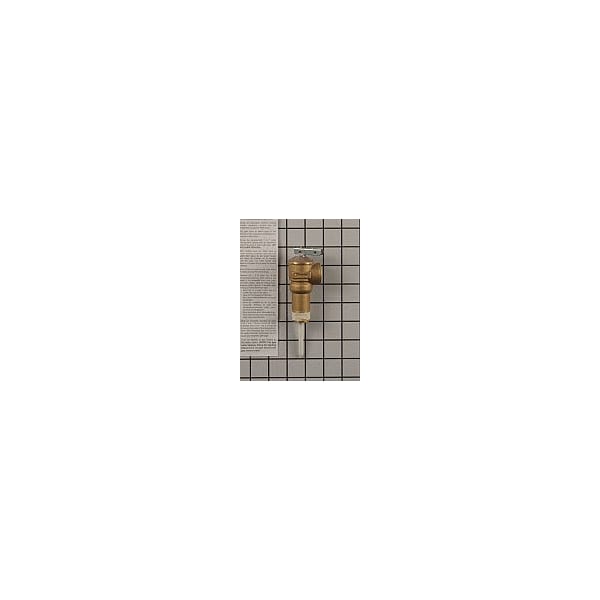 A.O. Smith 100108456 Kit 2 Shank Tu0026P 100108456 | Zoro