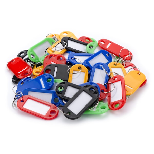 Barska 100 Key Tags Large, assorted color AF13678 | Zoro