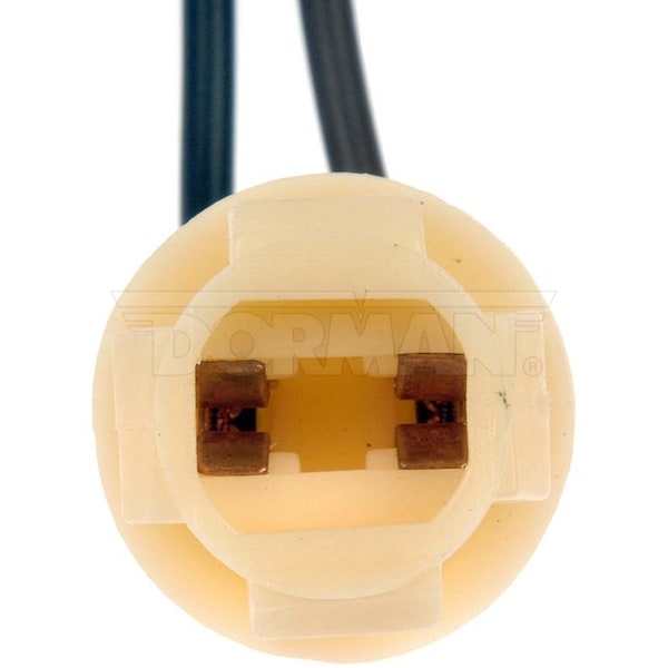 Motormite Electrical Sockets-2-Wire Side Marker Socket Assembly, 85816 ...