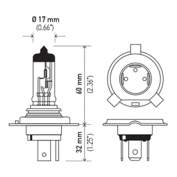 Hella DE3175TB Halogen Bulb - 12V 10W, SV8.5-8 Socket, T3.25 Miniature Bulb For Interior Lighting (2-Pack) - View #5
