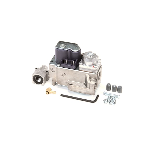 Polaris Water Heater Gas Valve For Polaris Water He 100093638 | Zoro