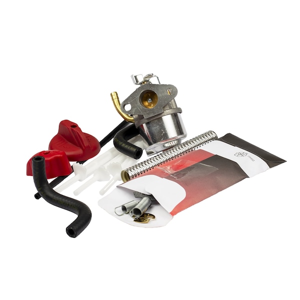 Briggs & Stratton Carburetor Assembly 798917 | Zoro
