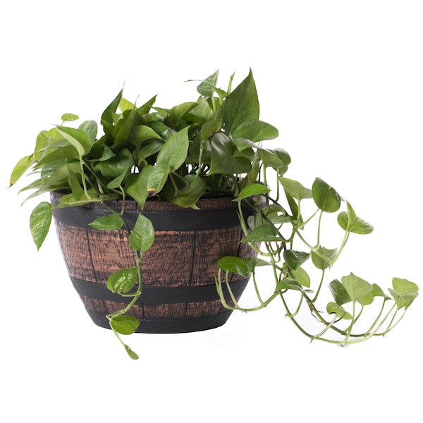 Gardenised Brown Outdoor Rustic Half Barrel Flower Garden Planter Bowl,  Plastic, Small QI004113.S | Zoro