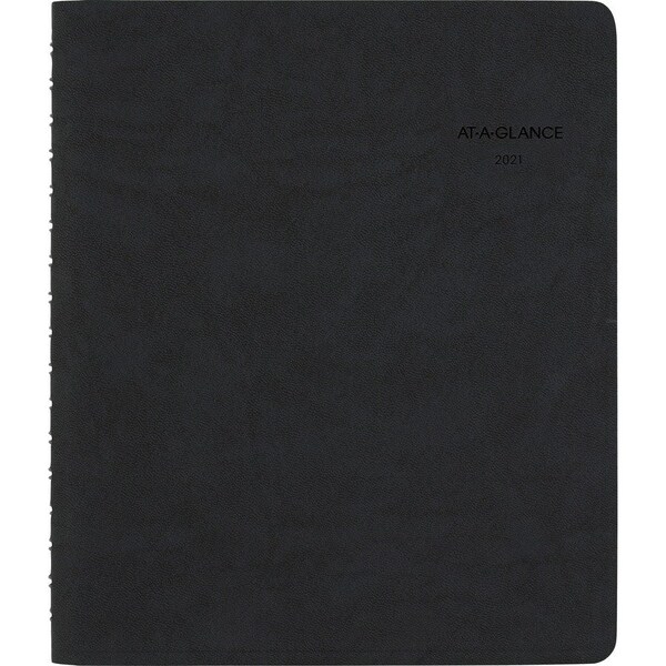 AT-A-GLANCE The Action Planner Daily Appointment Book - View #10