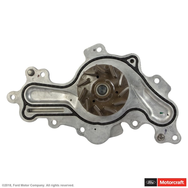 Motorcraft PW536 Pompa Acqua Auto – Assemblaggio Completo, Ricambio USA
