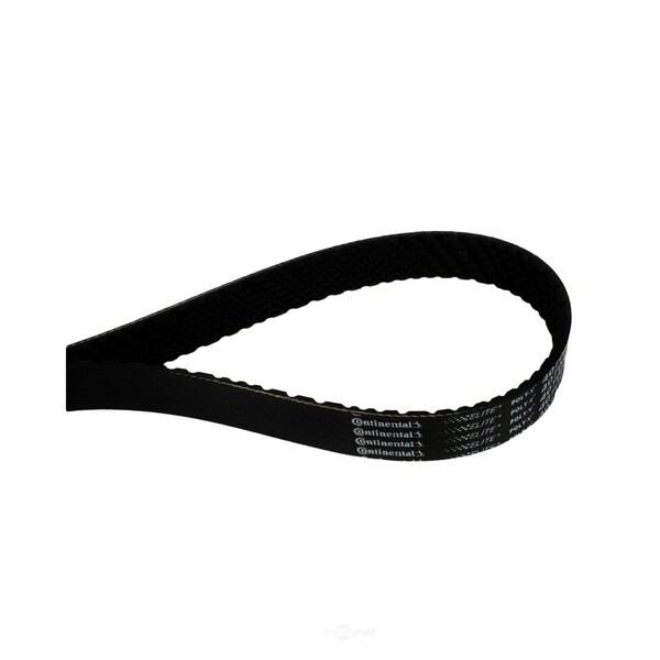 Continental Serpentine Belt, 4070892 4070892 Zoro