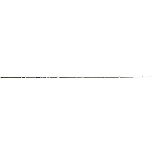 Silver Cat Catfish Series Rod 8ft 2pc Spinning