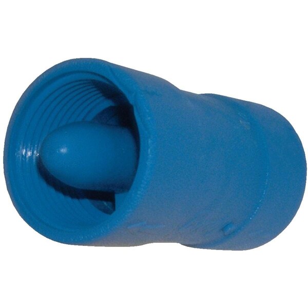 Campbell Brady 3/4 In. Acetal Polymer Foot & Check Valve | Hills Flat Lumber