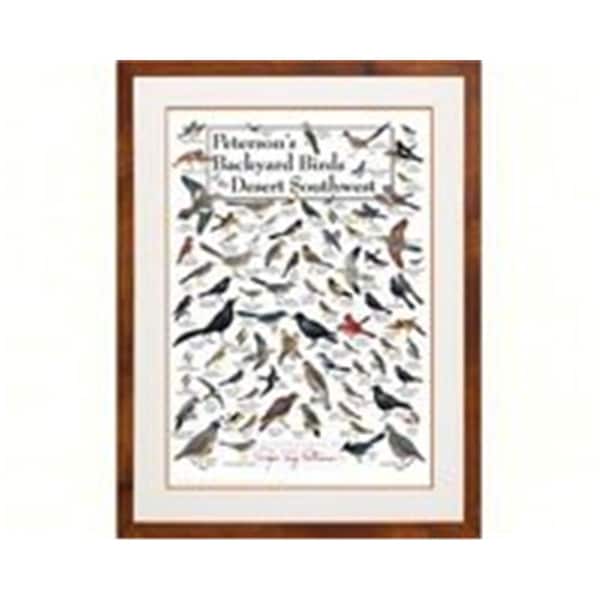 Common Butterflies Of The Midwest Folding Guide - 62 Species, Waterproof Field Reference