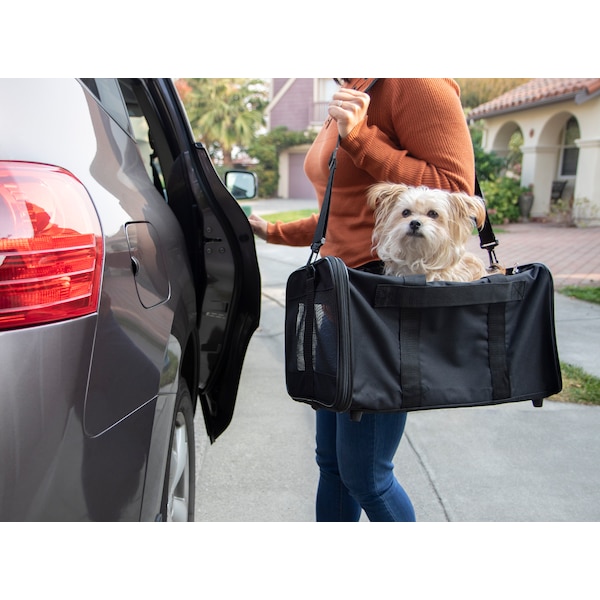 trusty pup easy explorer large