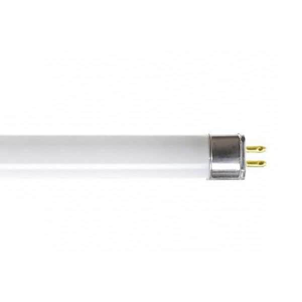 Current Fluorescent Linear Lamp, T5, Cool, 4100K F14WT5/841/ECO