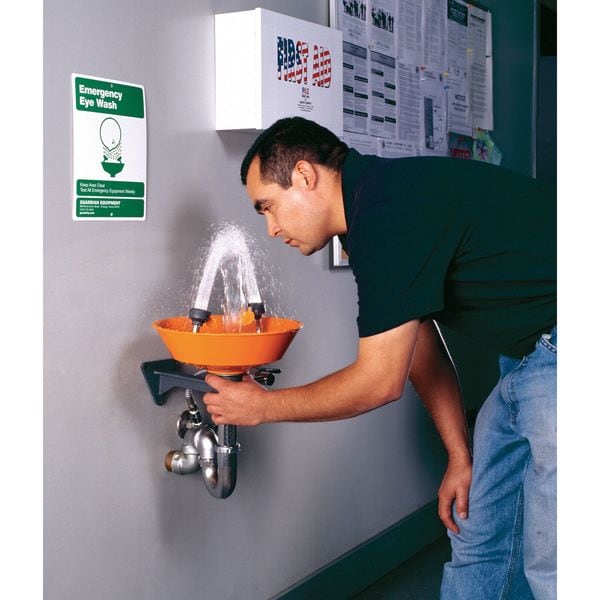 Guardian Equipment Plumbed Eyewash, Wall Mount, Plumbed, 7 in H