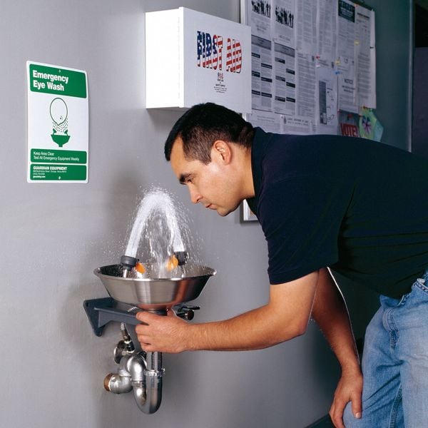 Guardian Equipment Plumbed Eyewash, Wall Mount, Plumbed, 6 11/12