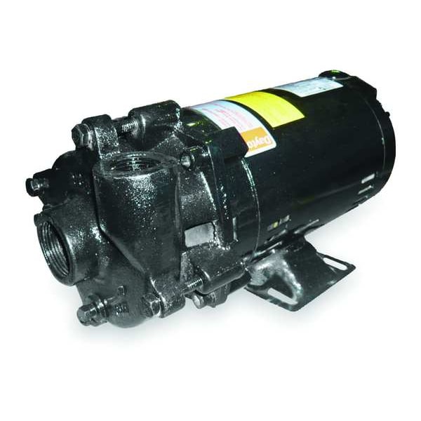 Dayton Cast Iron 1-1/2 HP Centrifugal Pump 208-230/460V