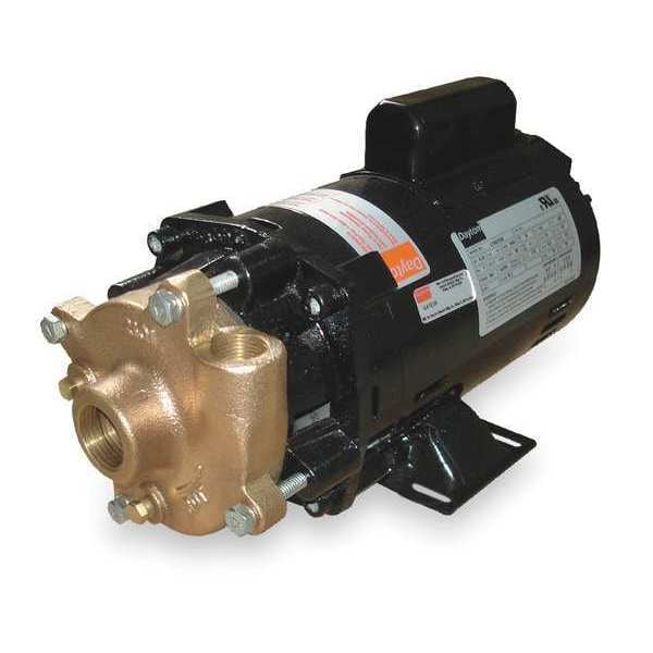 Dayton Bronze/Brass 3/4 HP Centrifugal Pump 115/230V 2ZWR7 Zoro