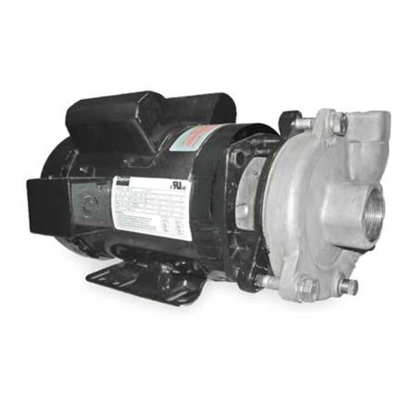 02.__.hn Dayton Stainless Steel 2 HP Centrifugal Pump 115/208-230V