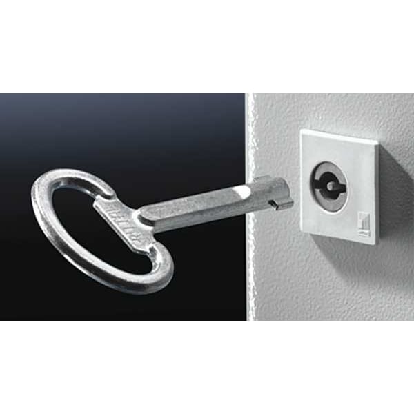 Rittal Enclosure Key, Double-Bit No. 5, Matte 2531000