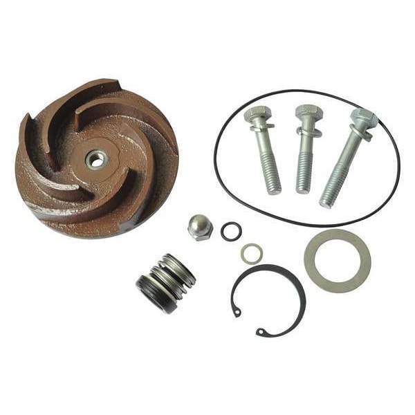 Dayton Pump Repair Kit, For 2ZWX9A 21TG81