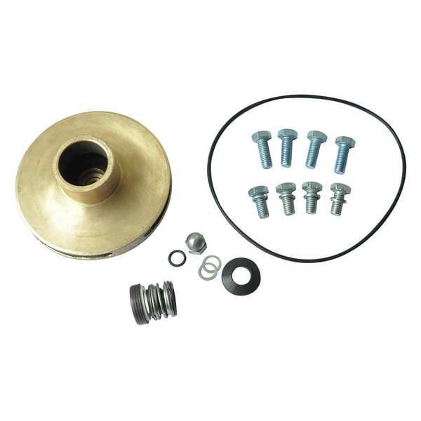 Dayton Pump Repair Kit, For 2ZXN8, 2ZXN9 21TH39 | Zoro