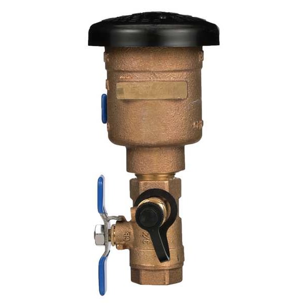 Zurn Pressure Vacuum Breaker Assembly (PVB) 1" 1720A Zoro
