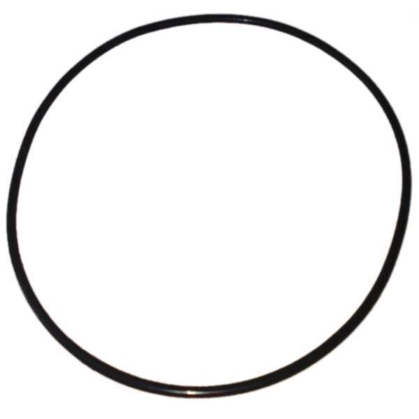 Dayton Ss Pump ORing PP21101530001G Zoro